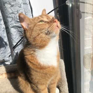 Meet your Posher, Rachel